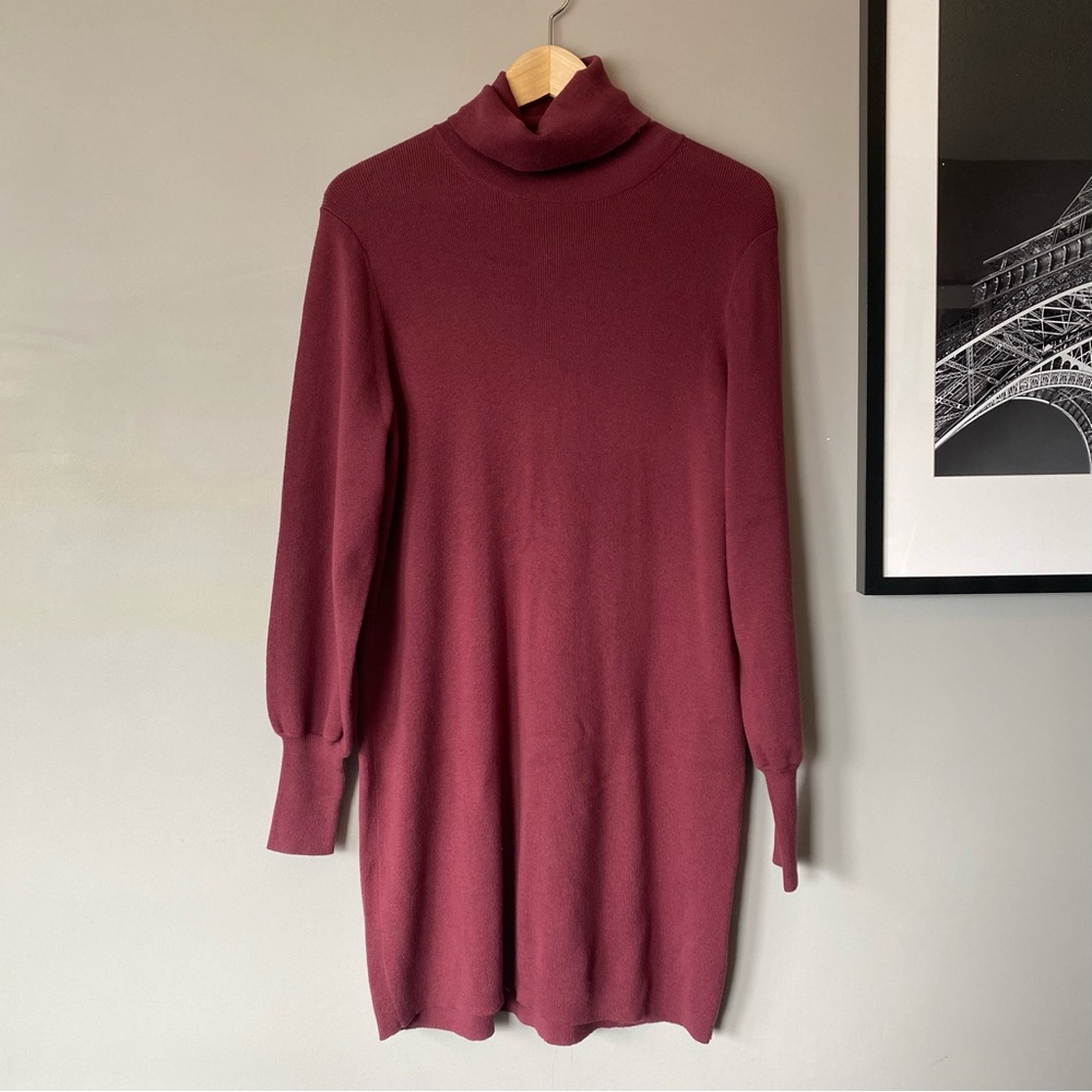 NWOT - Aritzia Wilfred Rebecca Sweater Dress (S)